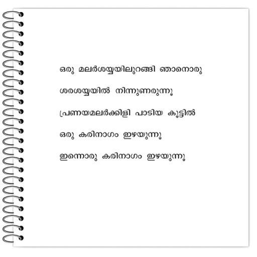 Picture of the product