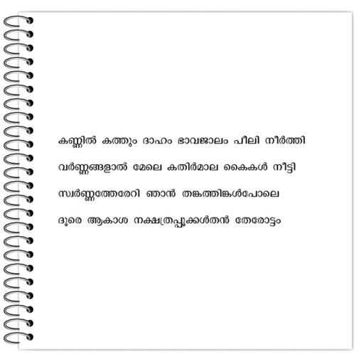 Picture of the product