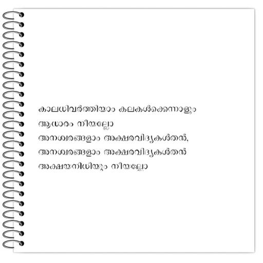 Picture of the product