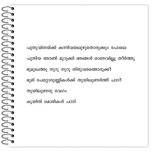 Picture of the product