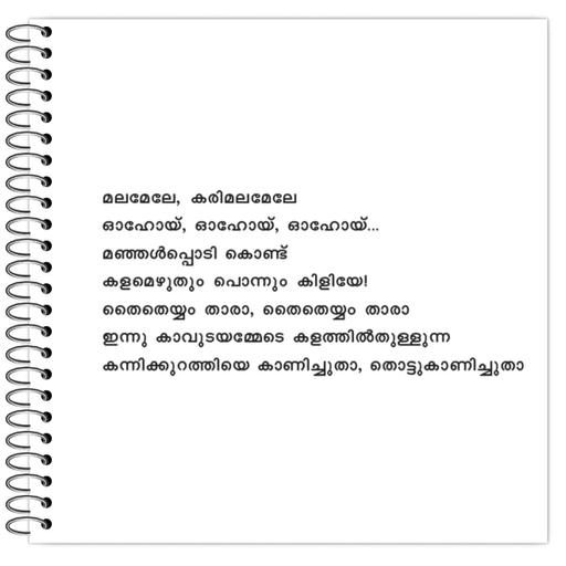 Picture of the product