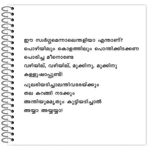 Picture of the product