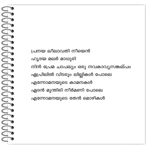 Picture of the product