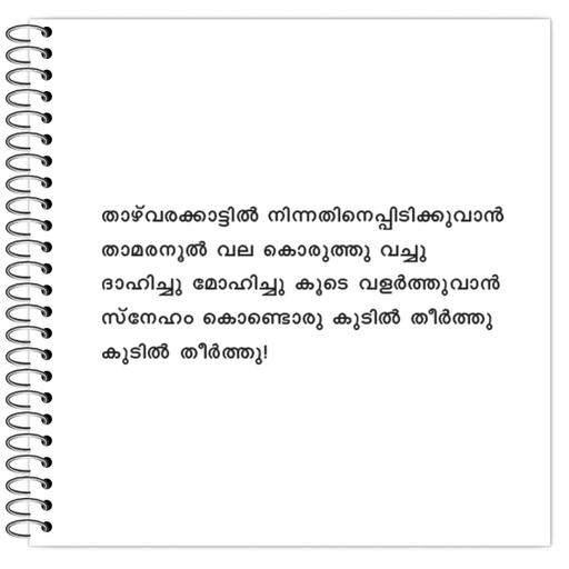 Picture of the product