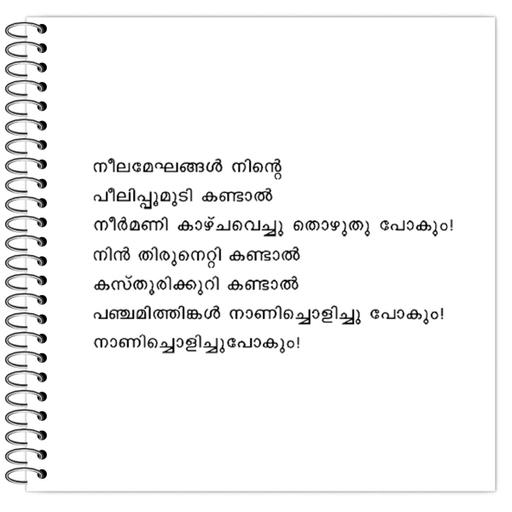 Picture of the product