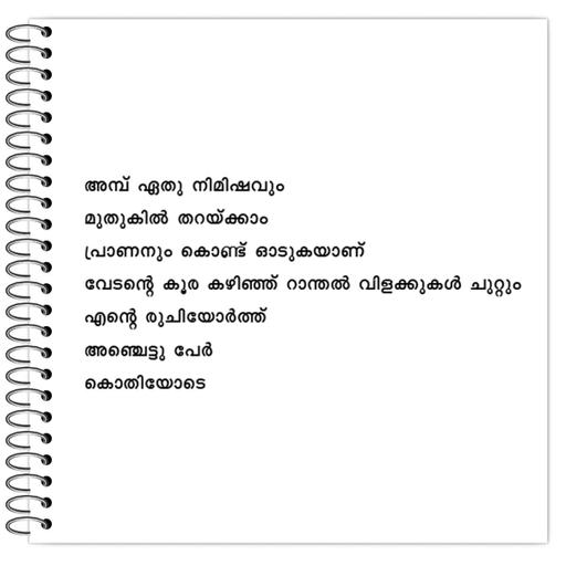 Picture of the product