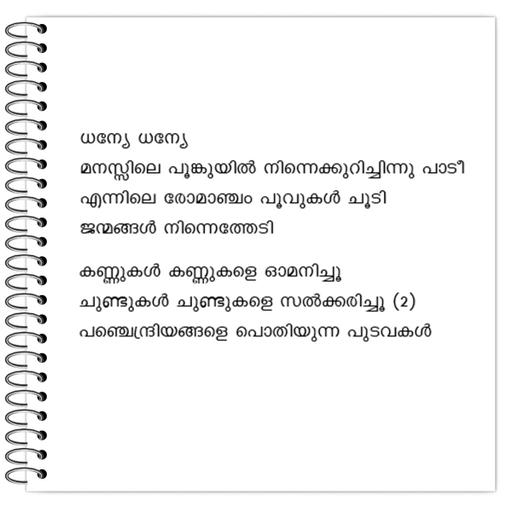 Picture of the product