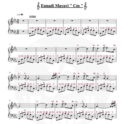 Picture of the product