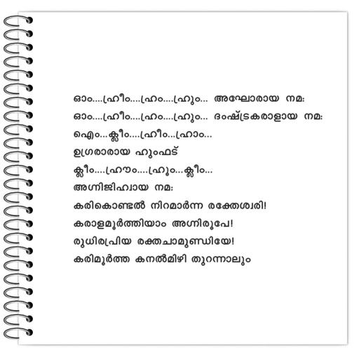 Picture of the product