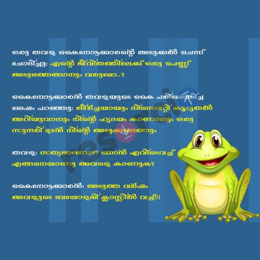 Picture of the product