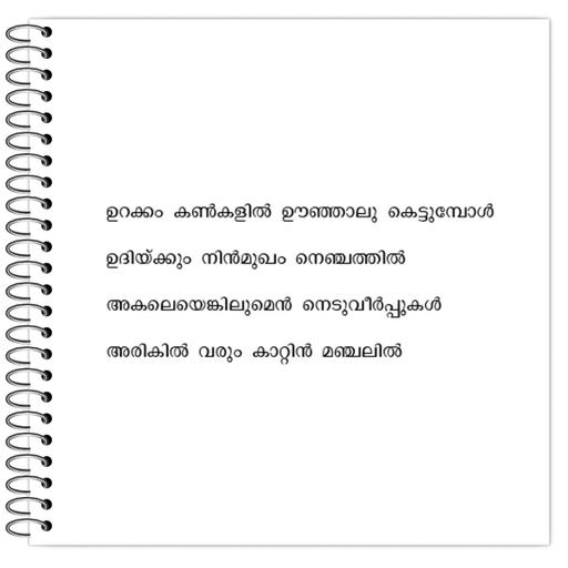 Picture of the product