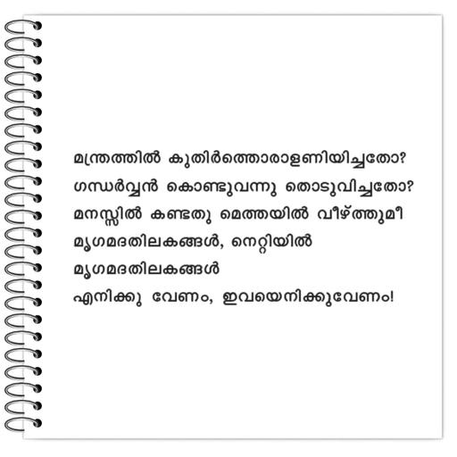 Picture of the product