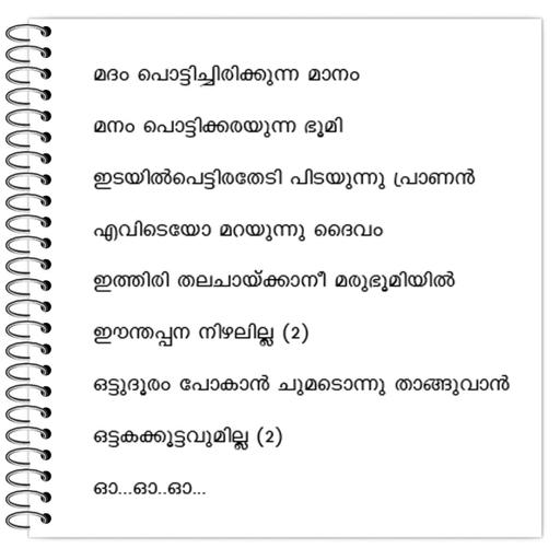 Picture of the product