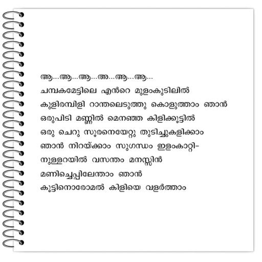 Picture of the product