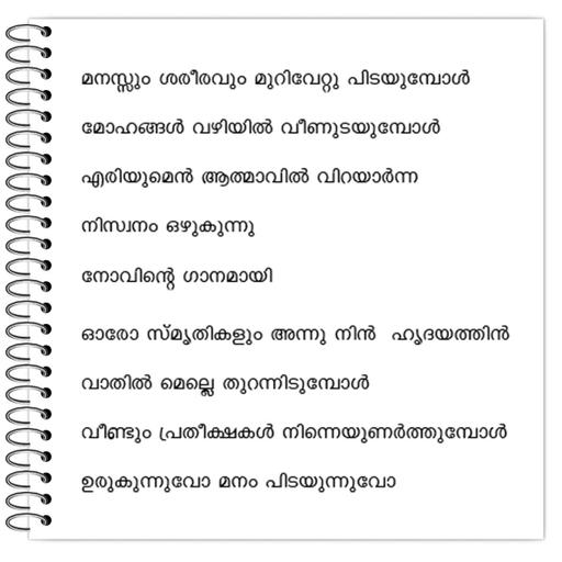 Picture of the product