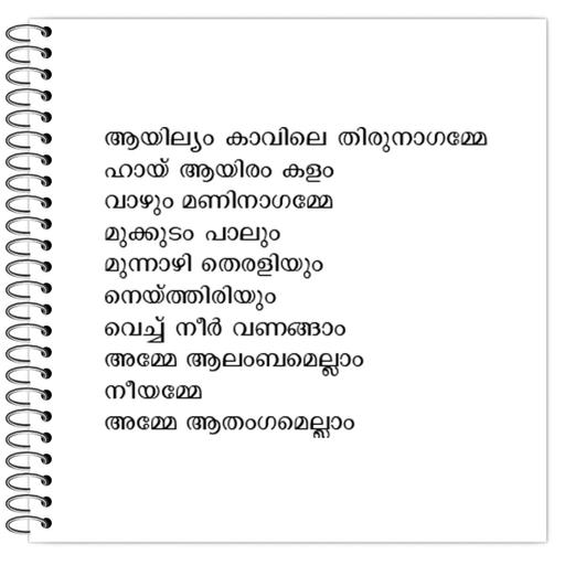 Picture of the product