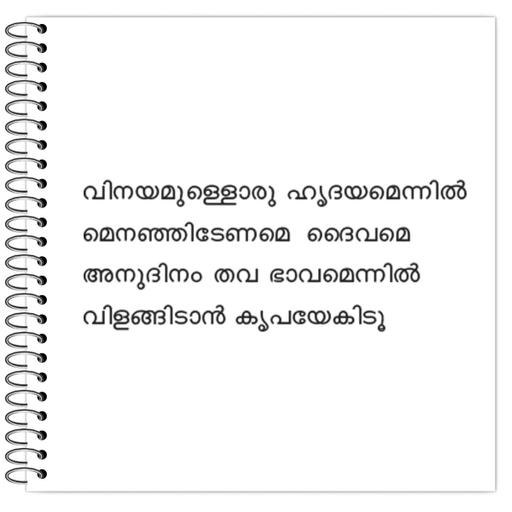 Picture of the product