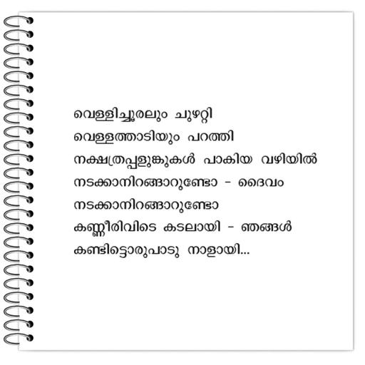 Picture of the product