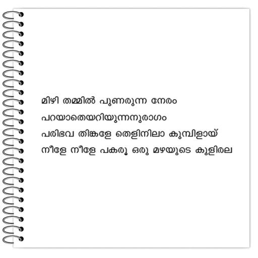 Picture of the product