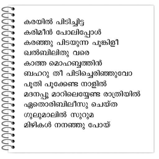 Picture of the product