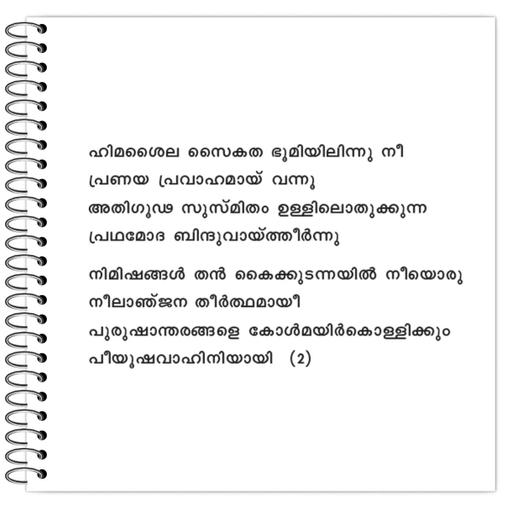 Picture of the product