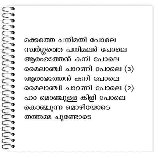 Picture of the product