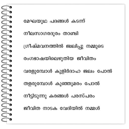 Picture of the product