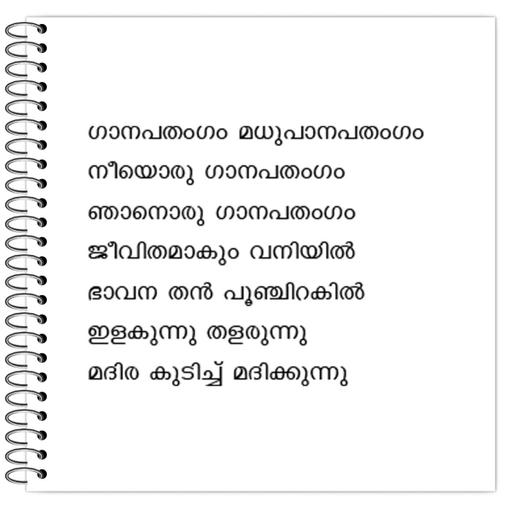 Picture of the product