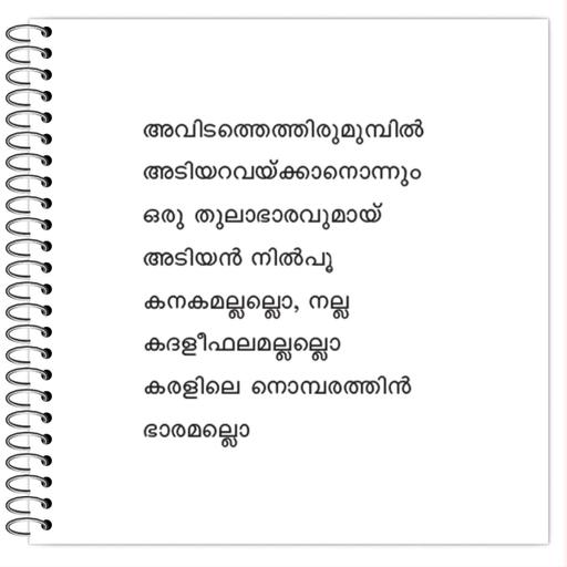 Picture of the product