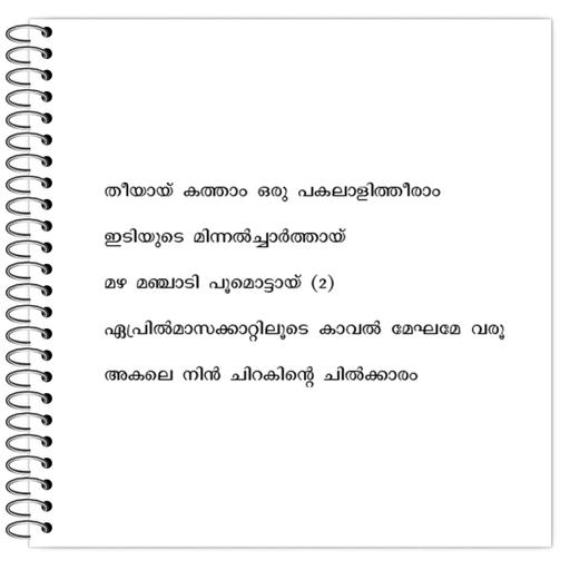 Picture of the product