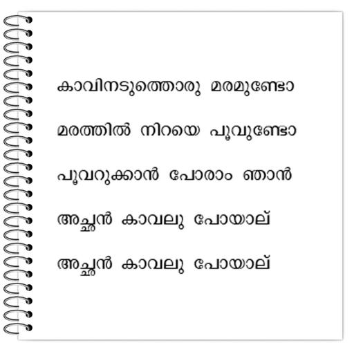 Picture of the product