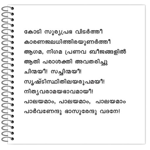 Picture of the product