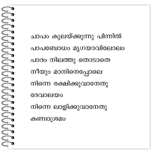 Picture of the product