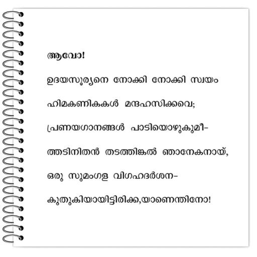 Picture of the product