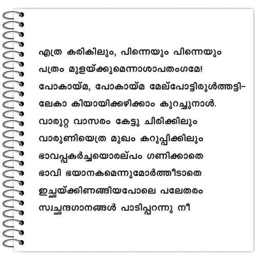 Picture of the product