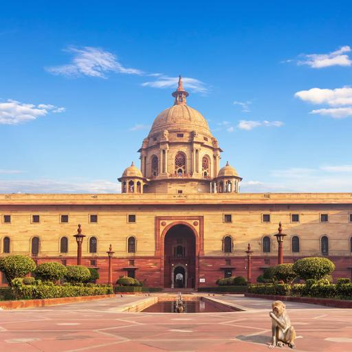 Picture of the product