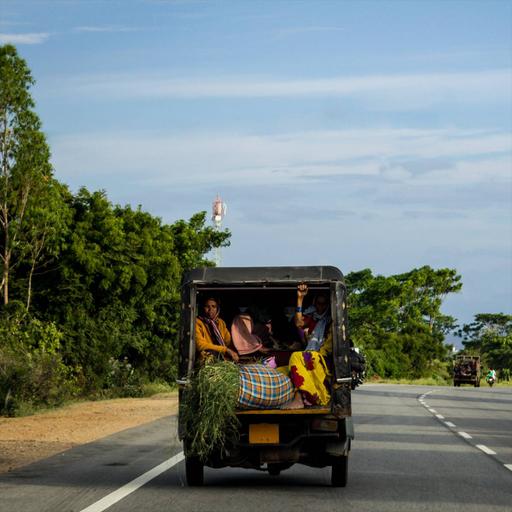 Picture of the product