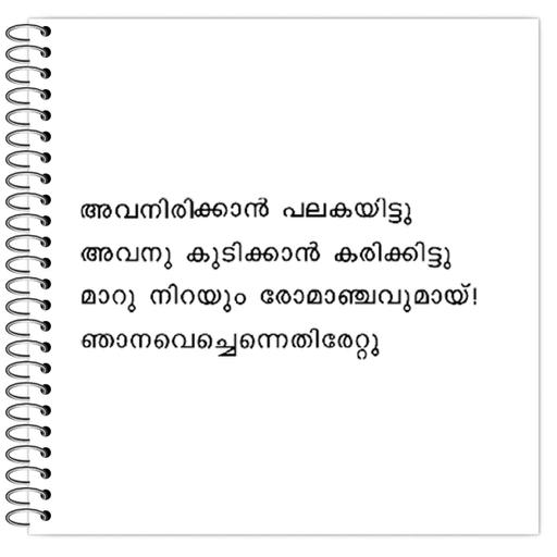 Picture of the product