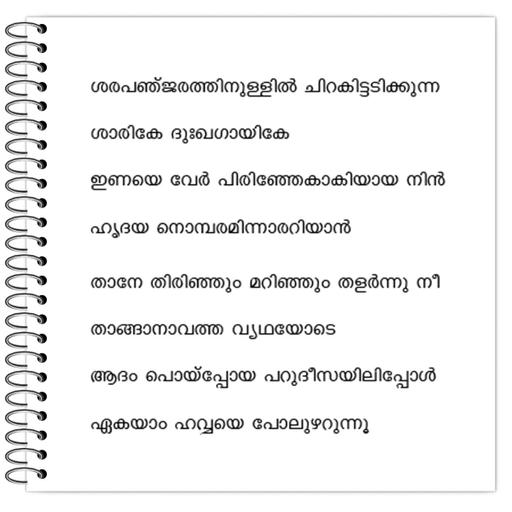 Picture of the product