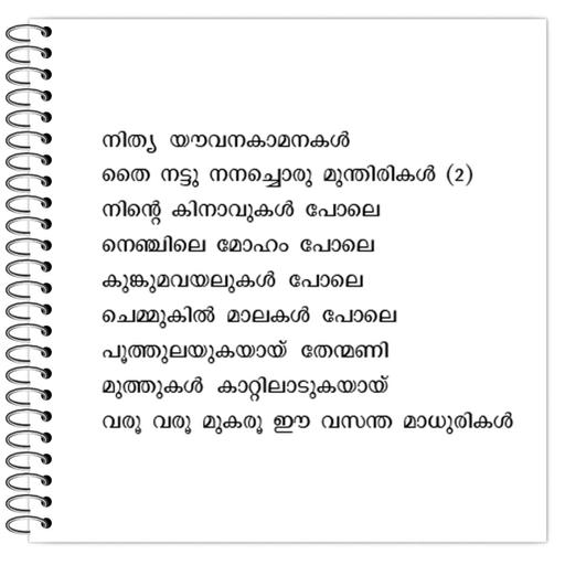 Picture of the product