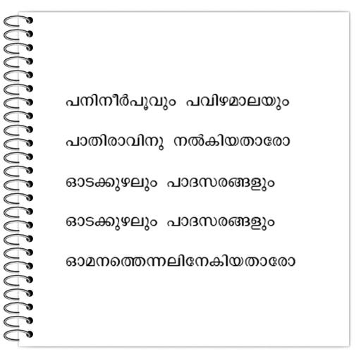 Picture of the product