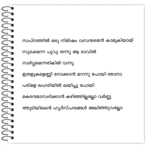 Picture of the product