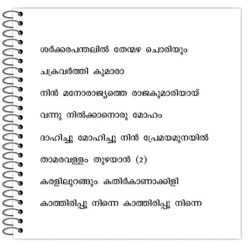 Picture of the product