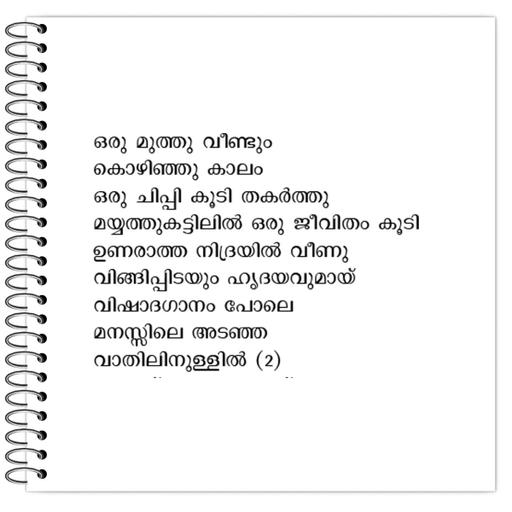 Picture of the product