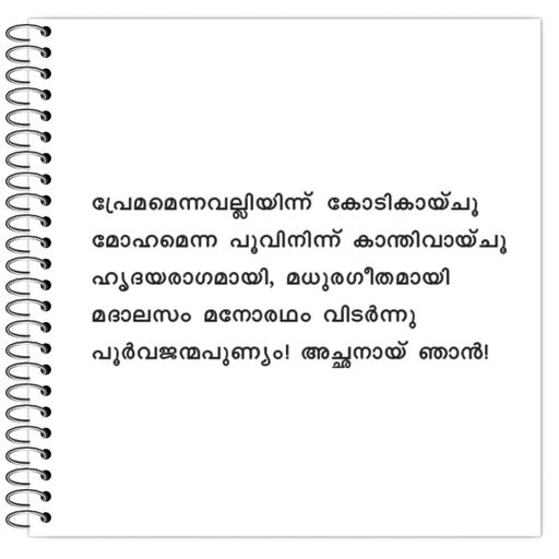 Picture of the product