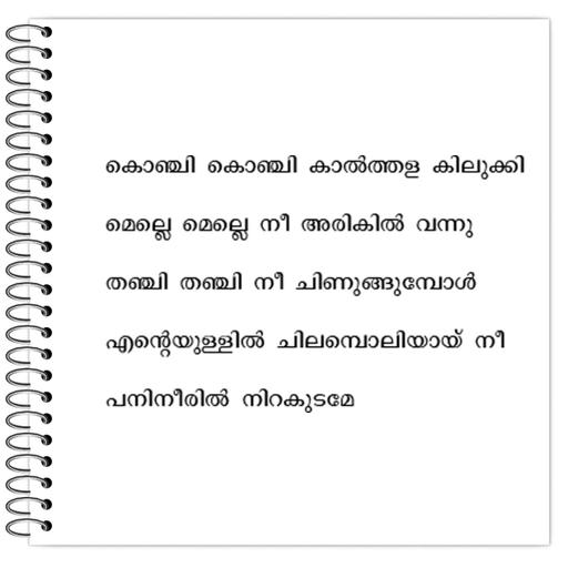 Picture of the product