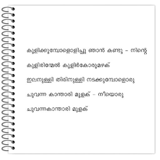 Picture of the product