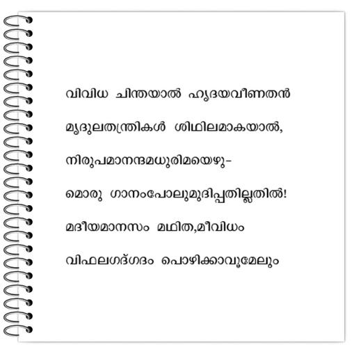 Picture of the product