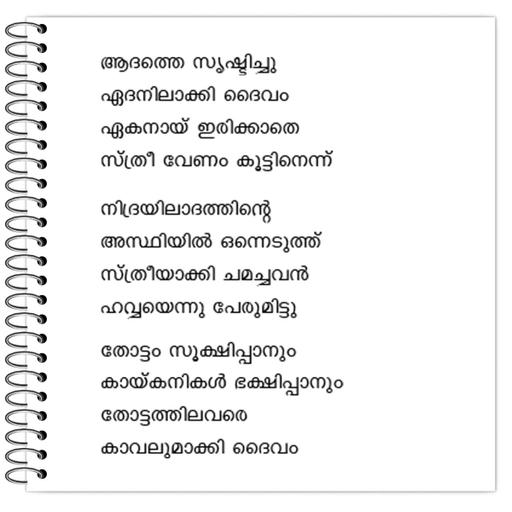 Picture of the product