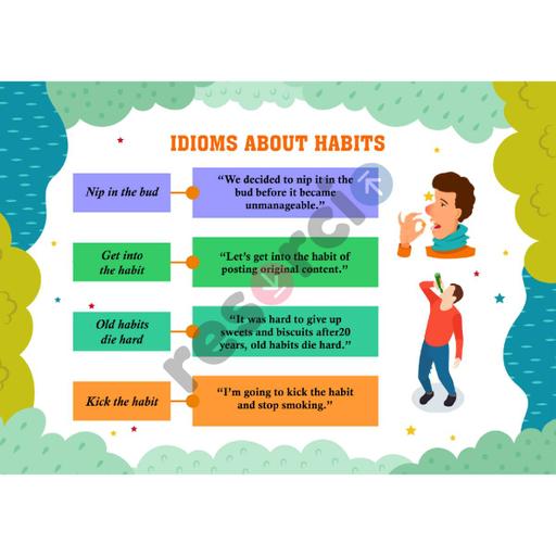 Picture of the product